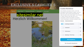 exclusives-cavaliers.at alternative sites