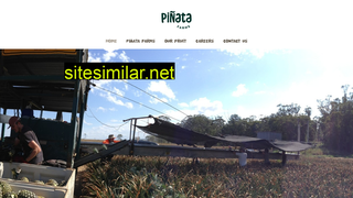 pinata.com.au alternative sites
