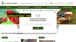 aveseanimaisornamentais.com.br alternative sites