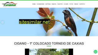criadourotimbira.com.br alternative sites
