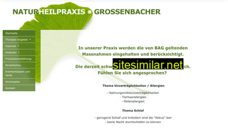 naturheilpraxis-grossenbacher.ch alternative sites