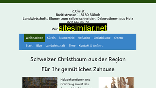 obrist-buelach.ch alternative sites