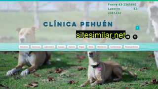clinicapehuen.cl alternative sites
