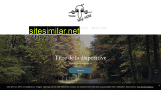 totov.fr alternative sites