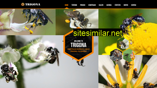 trigona.co.id alternative sites