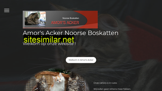 amorsacker.nl alternative sites