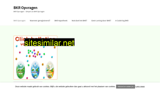 bkr-opvragen.nl alternative sites