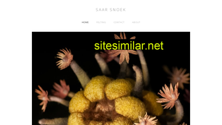 saarsnoek.nl alternative sites