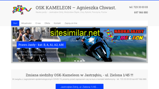 osk-kameleon.pl alternative sites