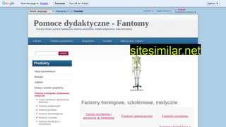 pomocedydaktycznemerikon.pl alternative sites