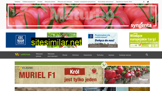 warzywa.pl alternative sites