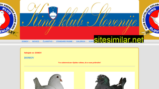 kingklubslovenije.si alternative sites