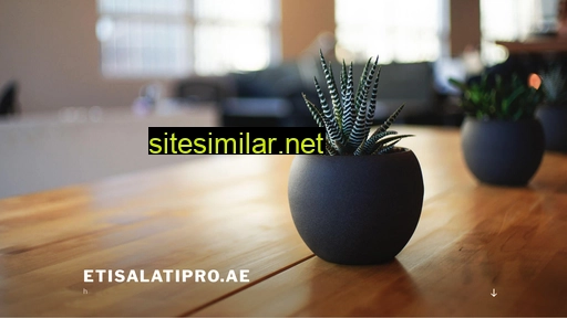 etisalatipro.ae alternative sites