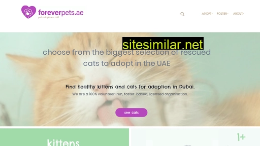 foreverpets.ae alternative sites