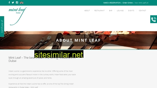 mintleaf.ae alternative sites