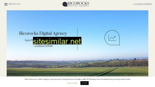 ricorocks.agency alternative sites