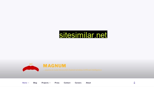 magnum.ai alternative sites