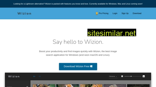 wizion.ai alternative sites