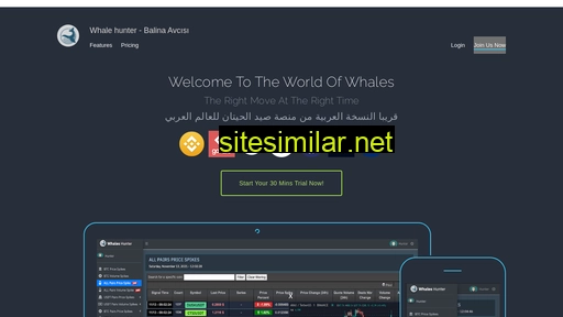 whalehunt.app alternative sites