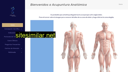 acupunturaanatomica.com.ar alternative sites