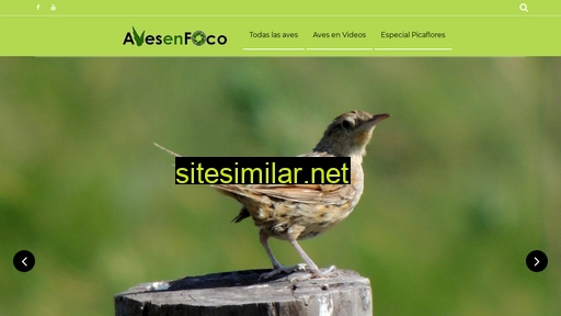 avesenfoco.com.ar alternative sites