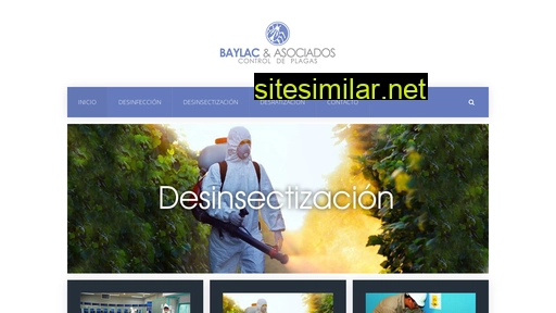 baylac.com.ar alternative sites