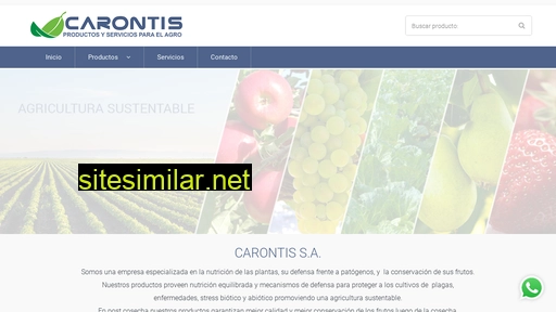 carontis.com.ar alternative sites