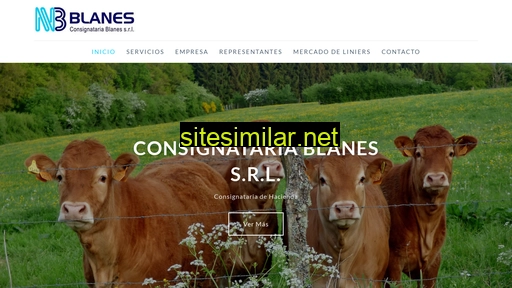 consignatariablanes.com.ar alternative sites