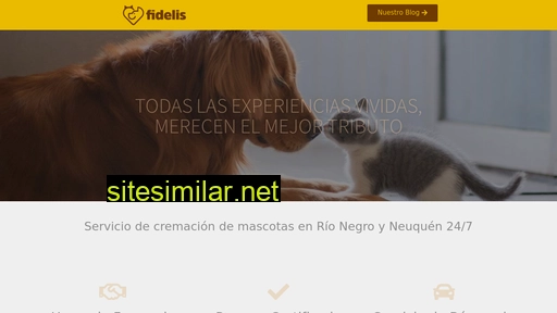 fidelis.com.ar alternative sites