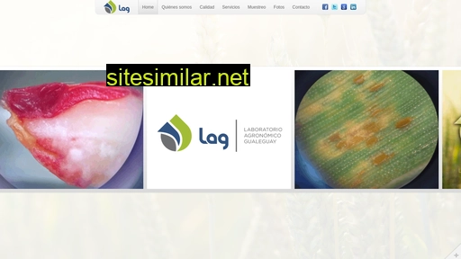 lag-laboratorio.com.ar alternative sites
