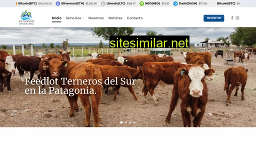 patagoniainvesting.com.ar alternative sites