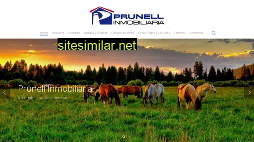 prunellinmobiliaria.com.ar alternative sites