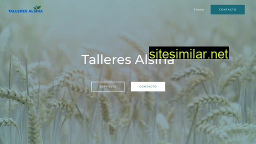 talleresalsina.com.ar alternative sites