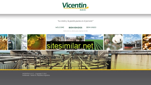 vicentin.com.ar alternative sites