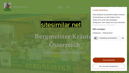 bergmeister.at alternative sites