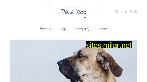 Bluedog similar sites