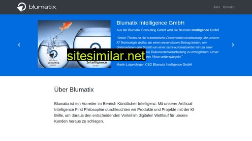 Blumatix similar sites