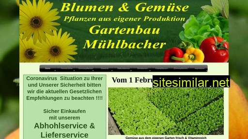 blumen-muehlbacher.at alternative sites