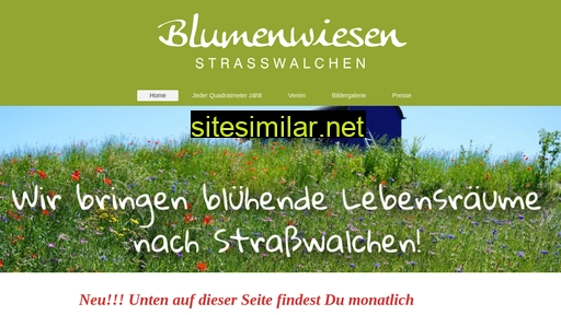 blumenwiesen-strasswalchen.at alternative sites