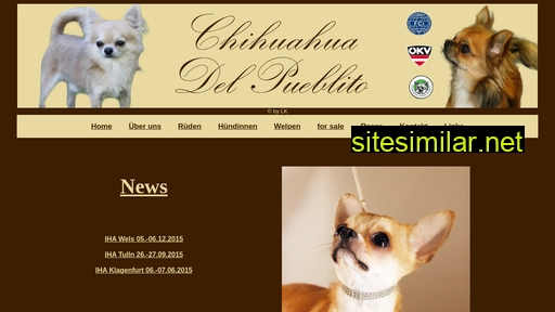 Chihuahua-del-pueblito similar sites