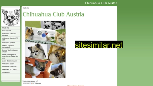 Chihuahuas similar sites