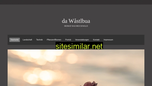 dawastlbua.at alternative sites