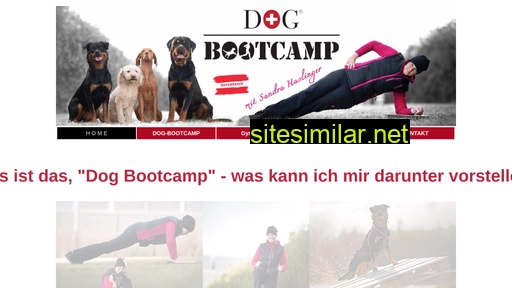 dogbootcamp-wn.at alternative sites
