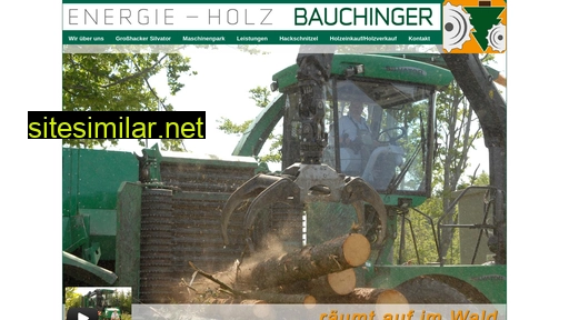 energie-holz.co.at alternative sites