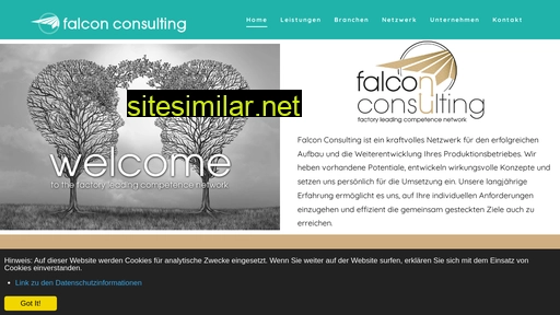 Falcon-consulting similar sites