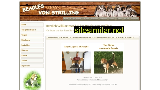 hollaus-beagle-tirol.at alternative sites