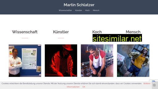 martin-schlatzer.at alternative sites