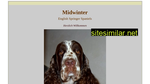 Midwinter-spaniels similar sites