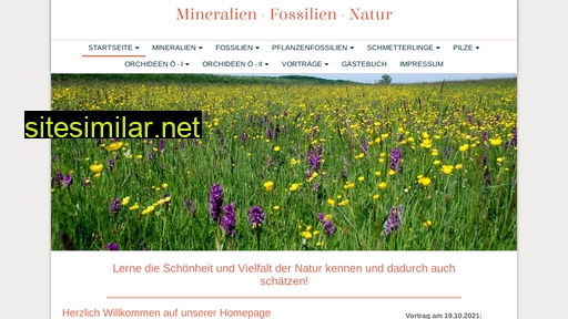 mineralien-fossilien-natur-sabor.at alternative sites