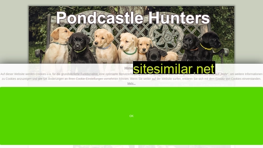 pondcastle-hunters.at alternative sites